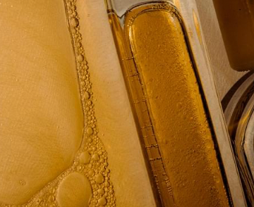 Unlock the Secret to Ageless Skin: The Neuroscience Behind Neurocosmetics