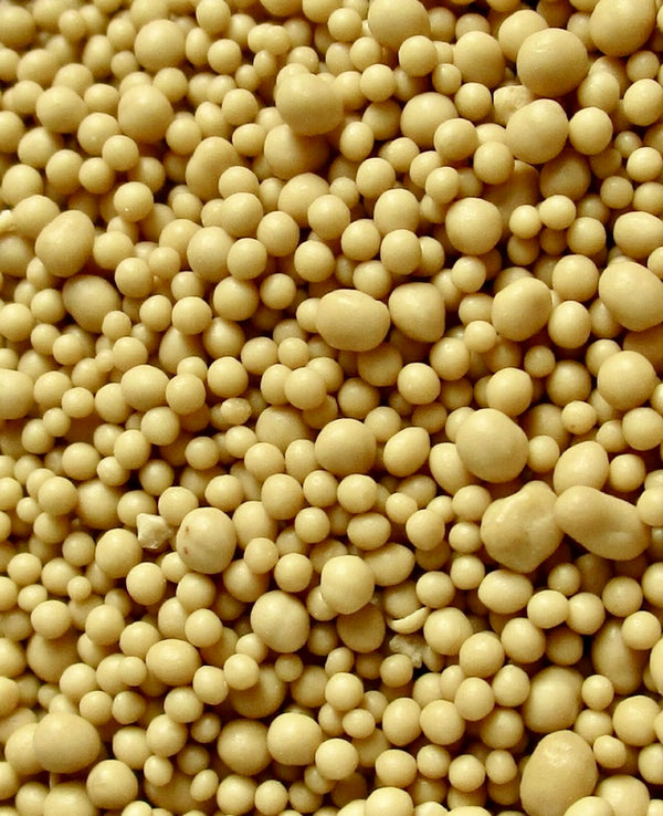 YEAST EXTRACT (PLANT COLLAGEN)