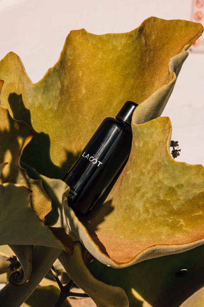 Black bottle labeled 'LAST' on a large green leaf