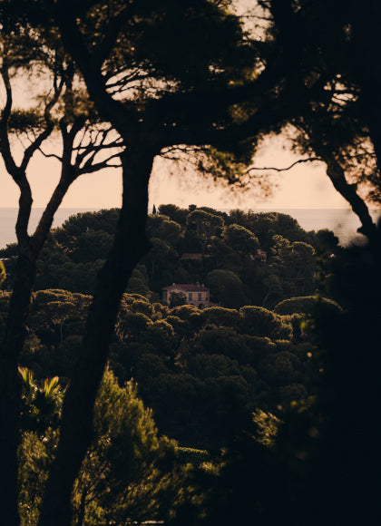 Village nestled among trees with a scenic background