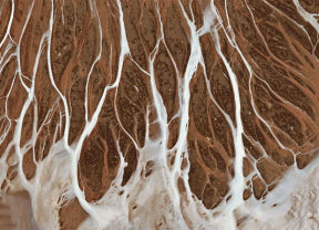 Close-up of tree bark with intricate patterns